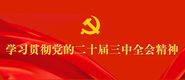 圖片默認(rèn)標(biāo)題_fororder_未標(biāo)題-1